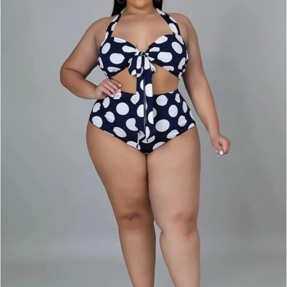 Dani Blue & White Polka Dot Bikini 1X-3X